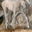 White Horses  25" x 21" 