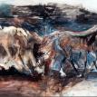 Champion   47 x 56" 